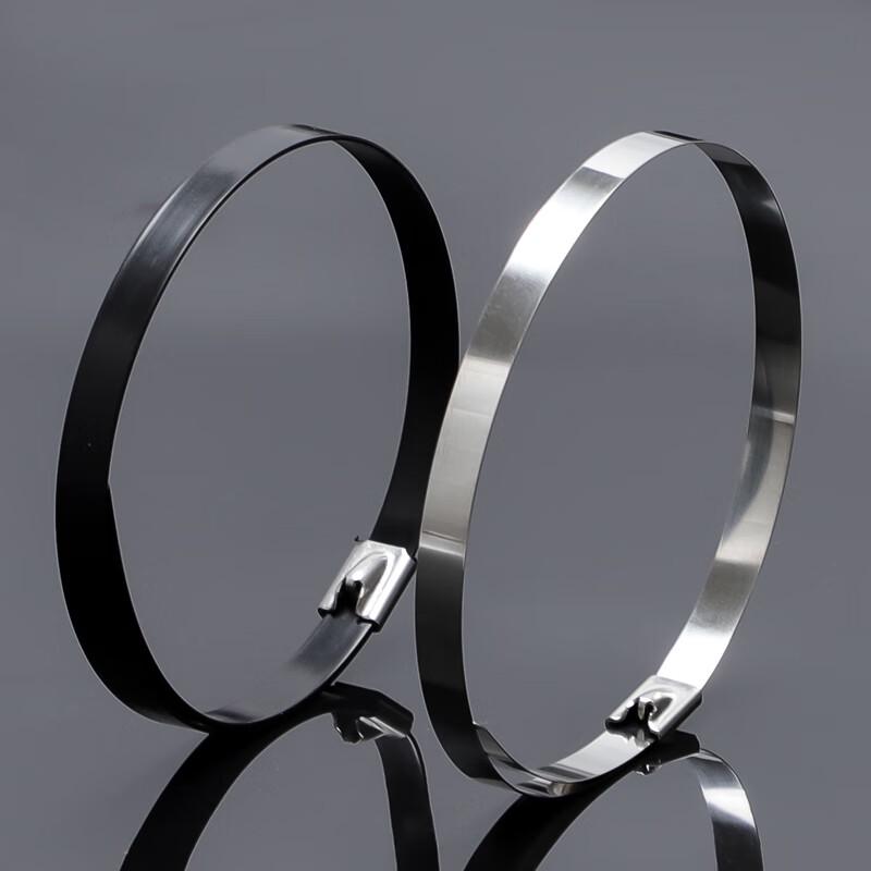 Rendian 304 Stainless Steel Self-Locking Cable Ties