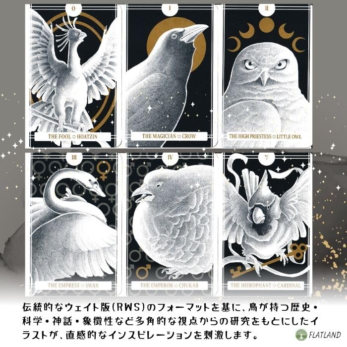Avian Tarot Tarot Reading Instructions, Japanese Instruction Manual Included, Authentic Tarot Cards, 78 Birds