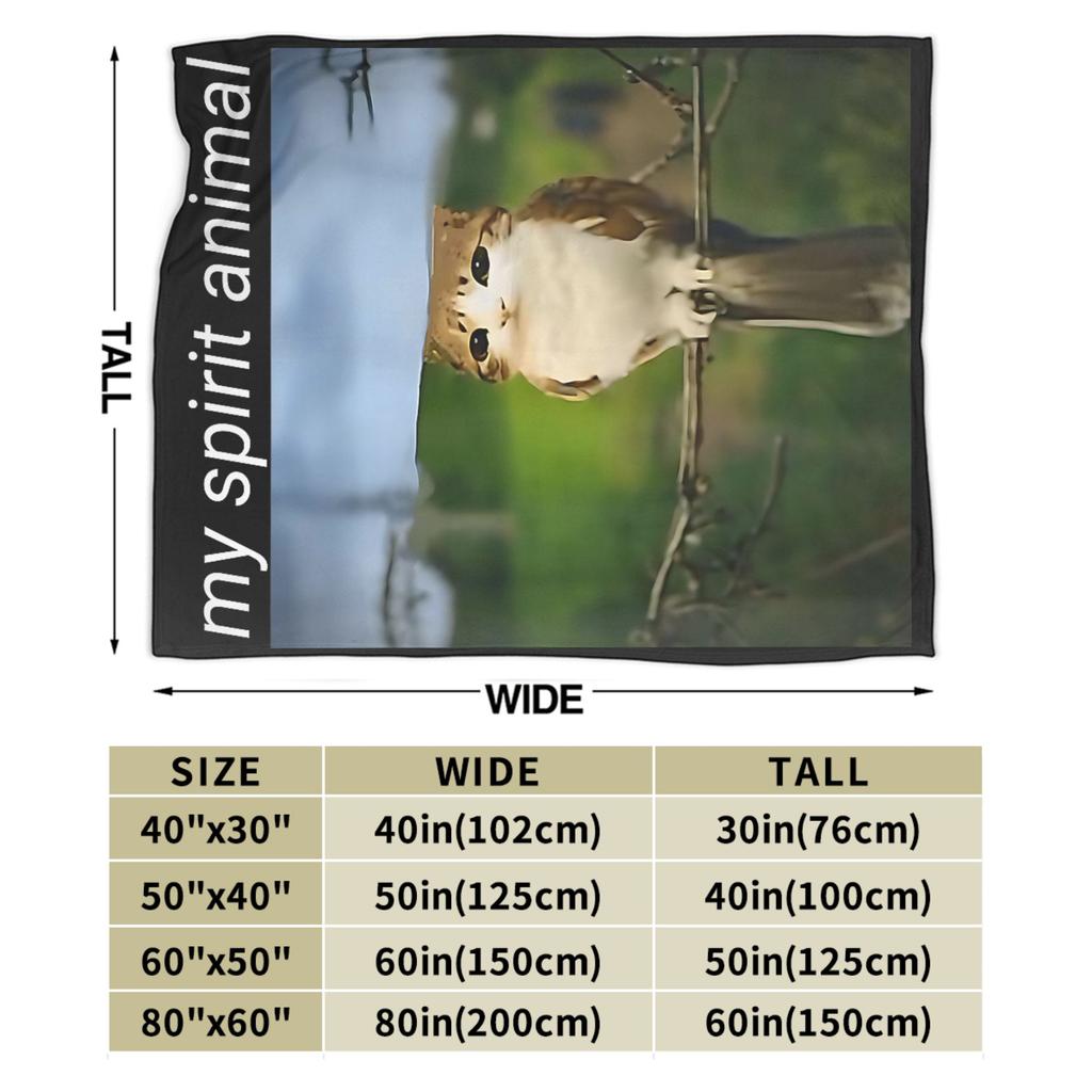 My Spirit Animal Funny meowl Meme Blanket Super Warm cat owl Meme brainrot Throw Blanket Winter Travel Couch Bed Bedspread