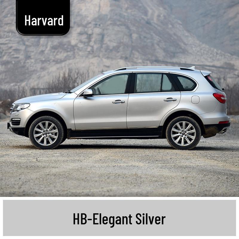 Haval H6 Cool Dog Touch-Up Pen, Black Spot & Ruixue White Scratch Repair Paint