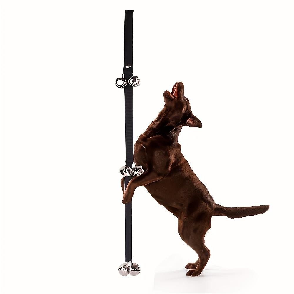 Hundetraining Leine mit Alarmglocke - Automatischer Türalarm, Keine Batterie benötigt, für Kleine & Große Hunde, Welpen, Welpentraining