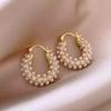Fashion French Full Set Zircon Lace Earrings U-shaped Earrings Women's Accessories