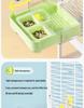 Parrot Bath Box: Shower Device for Cockatiels, Budgerigars, and Small Birds