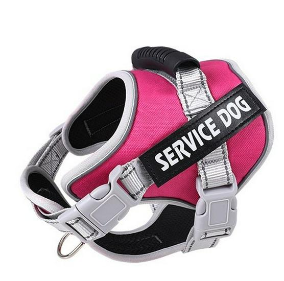 Reflektierende Atmungsaktive Hundeleine & Geschirr - Explosionsgeschütztes Design