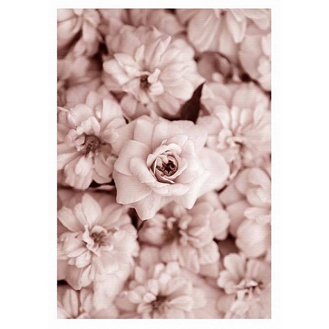 Flower Canvas Picture Wall Decoration Nordic Floral Prints Pink Rose Paintings for Home Design Modern Decoration for Home No Frame