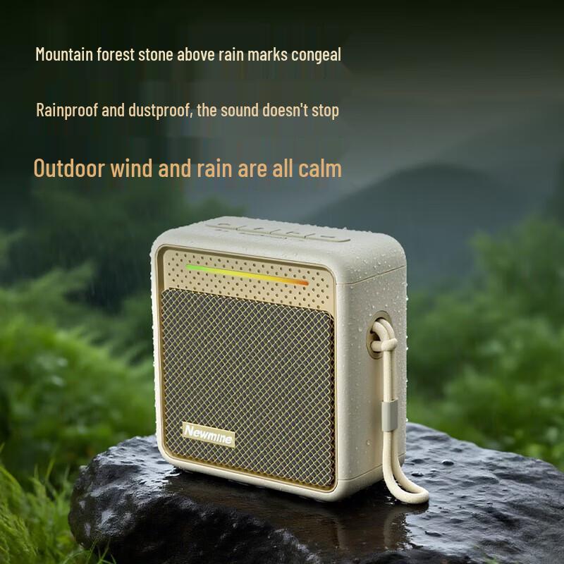 Newmine BT13 Hi-Res Portable Bluetooth Speaker CN plug (adapter included)