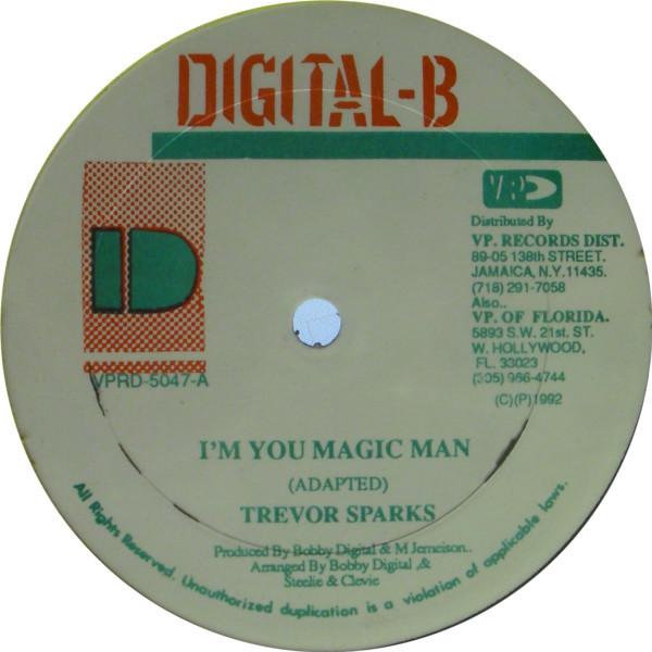 

12inch Record TREVOR SPARKS - I m You Magic Man / I m Ready VPRD5047 Digital-B 1992 US Reggae, Ska & Dub Used