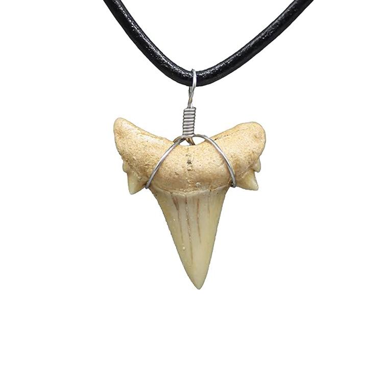 Morocco Shark Tooth Fossil Paleontological Fossil Fish Tooth Fossil Specimen Pendant Necklace