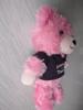[USED] Samantha Thavasa Teddy Bear Imy with Charm