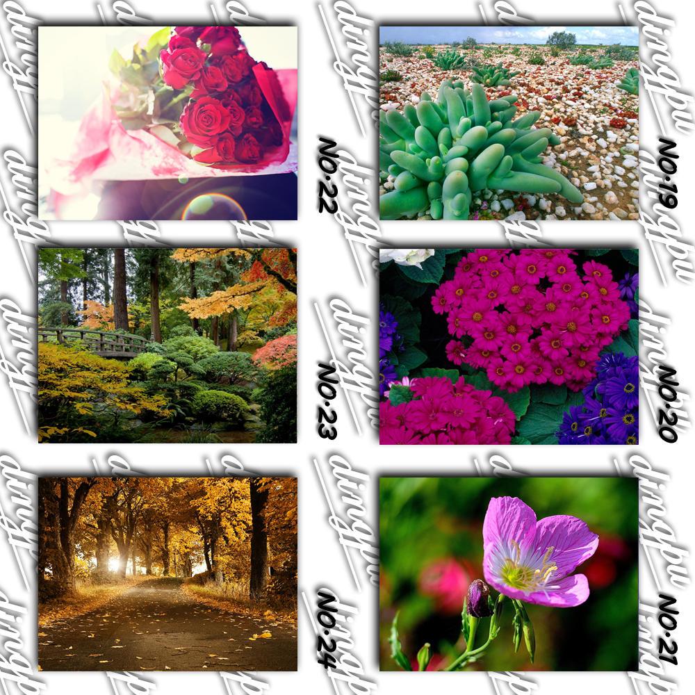 DINGPU Full Round Drill 5D DIY Diamond Painting "Flower " Embroidery Cross Stitch 5D Home Decor Gift