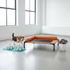 Elevated Pet Bed Mesh Ventilated Dog Cot Washable Resting Furniture for Small