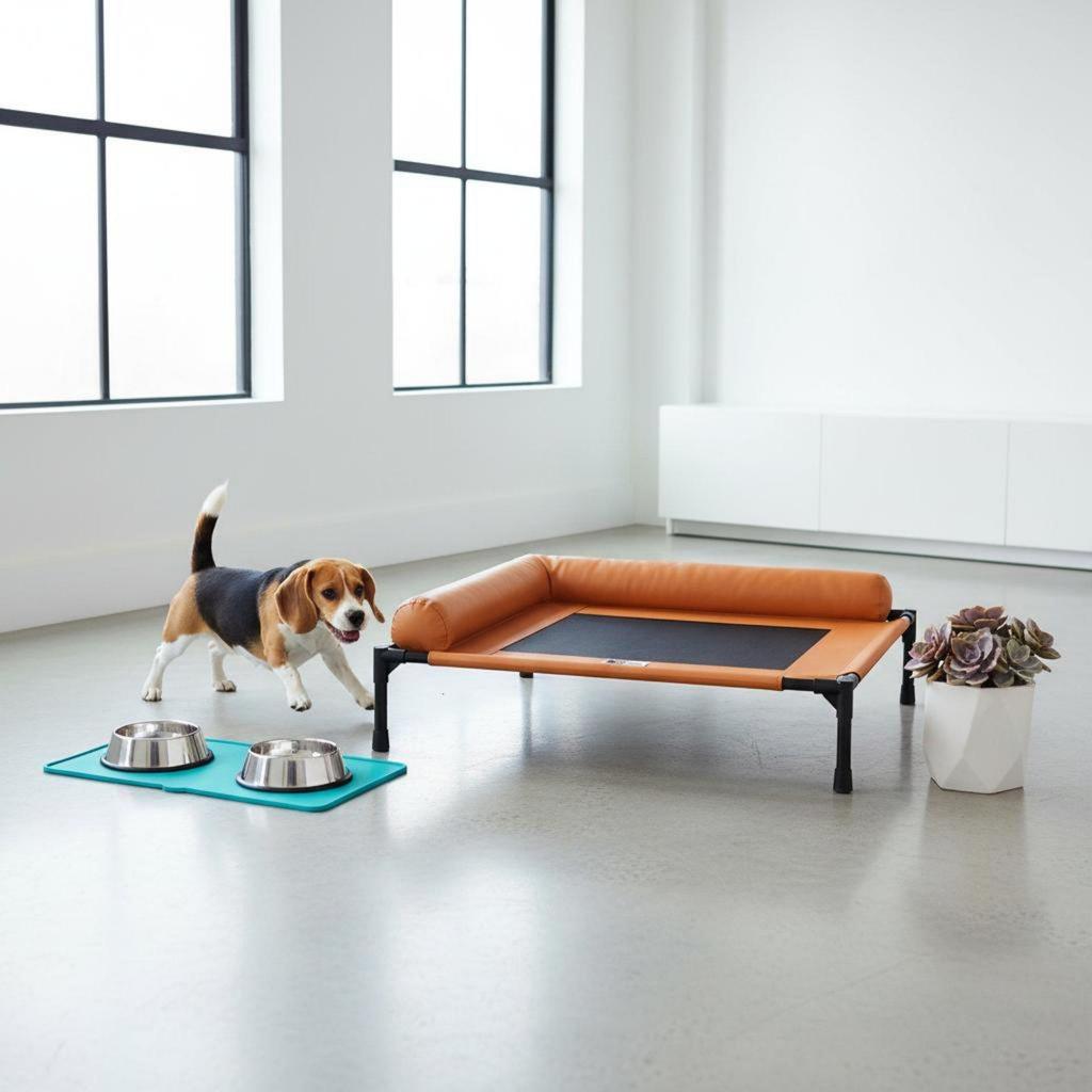 Elevated Pet Bed Mesh Ventilated Dog Cot Washable Resting Furniture for Small