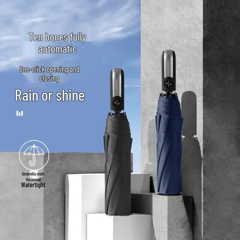 Automatic 10-Rib All-Weather Umbrella