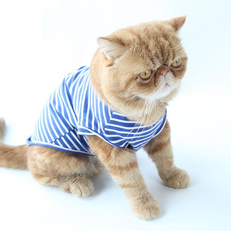 Spring and summer new cat clothes dog striped T-shirt beauty short cat clothes pet bottoming shirt manufacturer short sleeve