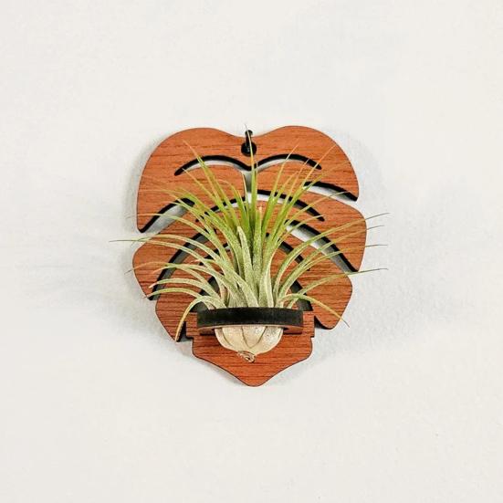 Wall Air Plant Holder Wooden Geometric Air Plant Stand Rustic Wall Mount Planter for Home Living Room Bedroom Decor