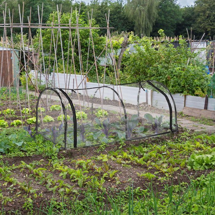 Relaxdays serre de jardin, tunnel plantations, h x l x p : 50 x 130 x 60 cm, tunnel avec porte, pvc, transparent/noir