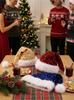 Adult Christmas Sequin Double-Layered Long Fur Hat - Multi-color, Festive Decoration
