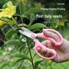 Stainless Steel Florist Pruning Shears: Rose, Tree Branch & Flower Scissors, Multifunctional Garden Tools