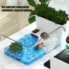 Kleiner Schildkrötentank Reptilienterrarium Haustier-Reptilien-Lebensraum Krabbenbecken Schildkrötenzuchtbox Heim-Büro Schreibtischdekoration Aquarium