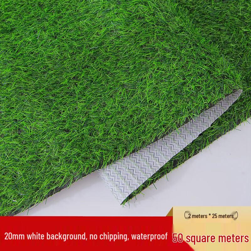 Gazon Sintetic pentru Decorare Exterioară și Grădină