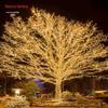 Guirlande Lumineuse LED Étanche Colorée Étoiles pour Décoration de Noël