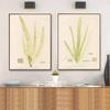 Nordic Retro Art Plant Evolution Popular Science Demonstration Canvas Painting Living Room Corridor Poster Home Decoration Mural No Frame