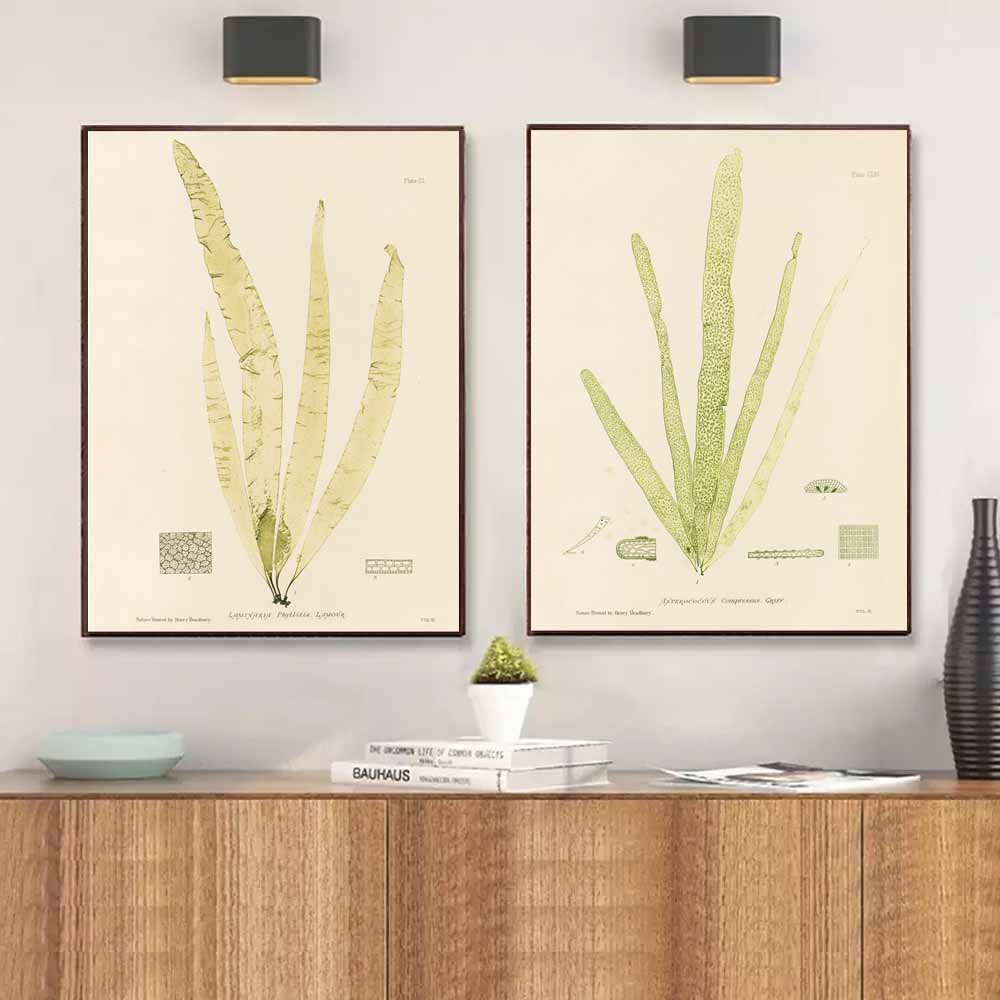 Nordic Retro Art Plant Evolution Popular Science Demonstration Canvas Painting Living Room Corridor Poster Home Decoration Mural No Frame