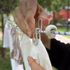 Elastic Outdoor Portable Elastic Travel Clothes Hanger Windproof Outdoor Clothesline Laundry Drying Line Retractable Clothesline