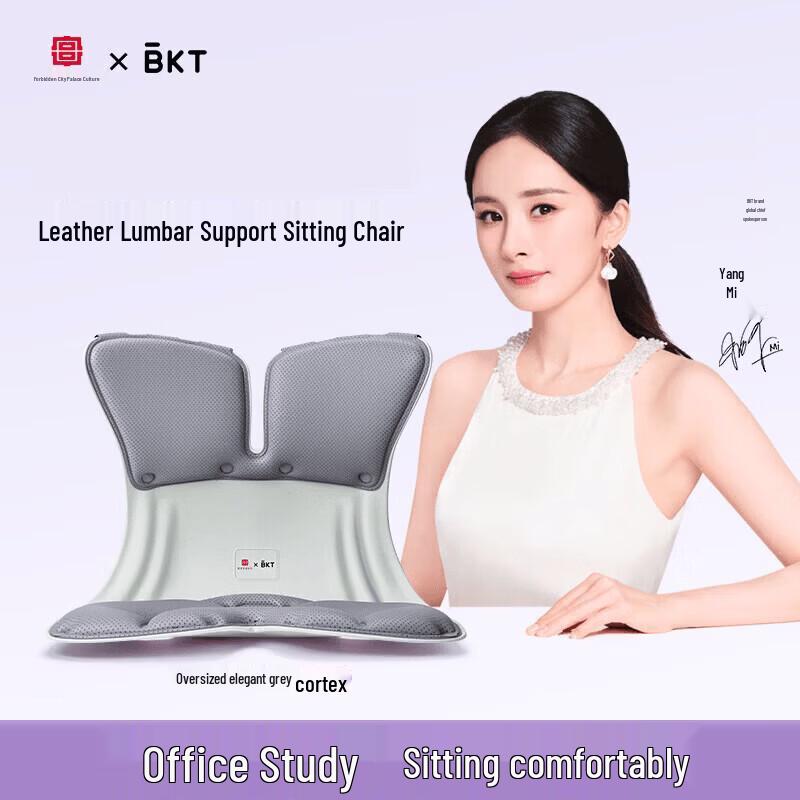 BKT Ergonomic Leather Lumbar Support Cushion