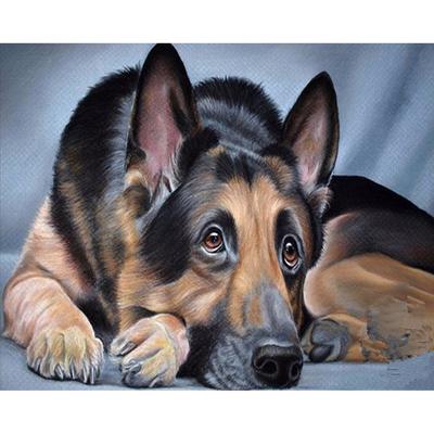 Ricamo con Diamanti "Cane" Pittura con Diamanti 5D Punto Croce Mosaico di Diamanti Artigianato con Ago
