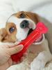 1pc Fun Cute Dog Toys for Aggressive Chewers Durable Multi-Layered Dog Toy for Enrichment Play Dental Care - with Textured Body