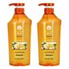 Bee & Flower Ginger Shampoo for Frizz & Breakage (2 X 600ml)