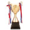 Nicheez Trophy Winner Cup Sports Tournament Competition