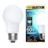 Saving LED Light Bulb E26 Omnidirectional 60W Equivalent Daylight White [Energy Measures] LDA5N-G/W-6T9