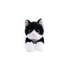 Sunlemon Knee Cat (Bicolor) S 13 x 36 x 15 cm Plush Toy (Renewed Version) Cute Animal Cat P-1513