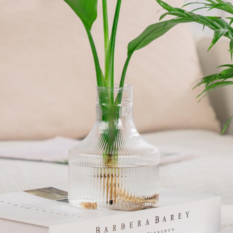 Hydroponic Flower Pot Home Vase Decoration Transparent Plastic Soilless Pot Green Pot Home Decoration