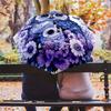 Flower Owl  pattern, automatic folding umbrella, portable and foldable design, 8 ribs, a Christmas or birthday gift.