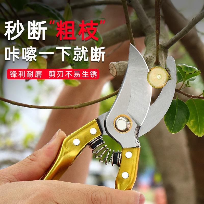 Garden Pruning Shears Flower Pruning Shears Fruit Tree Branch Shears Strong Gardening