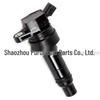 27301-2B110 / 273301-2B100 Ignition Coil for Hyundai/Kia 1.6T