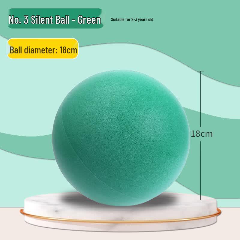 Dairien Silent Training Basketball