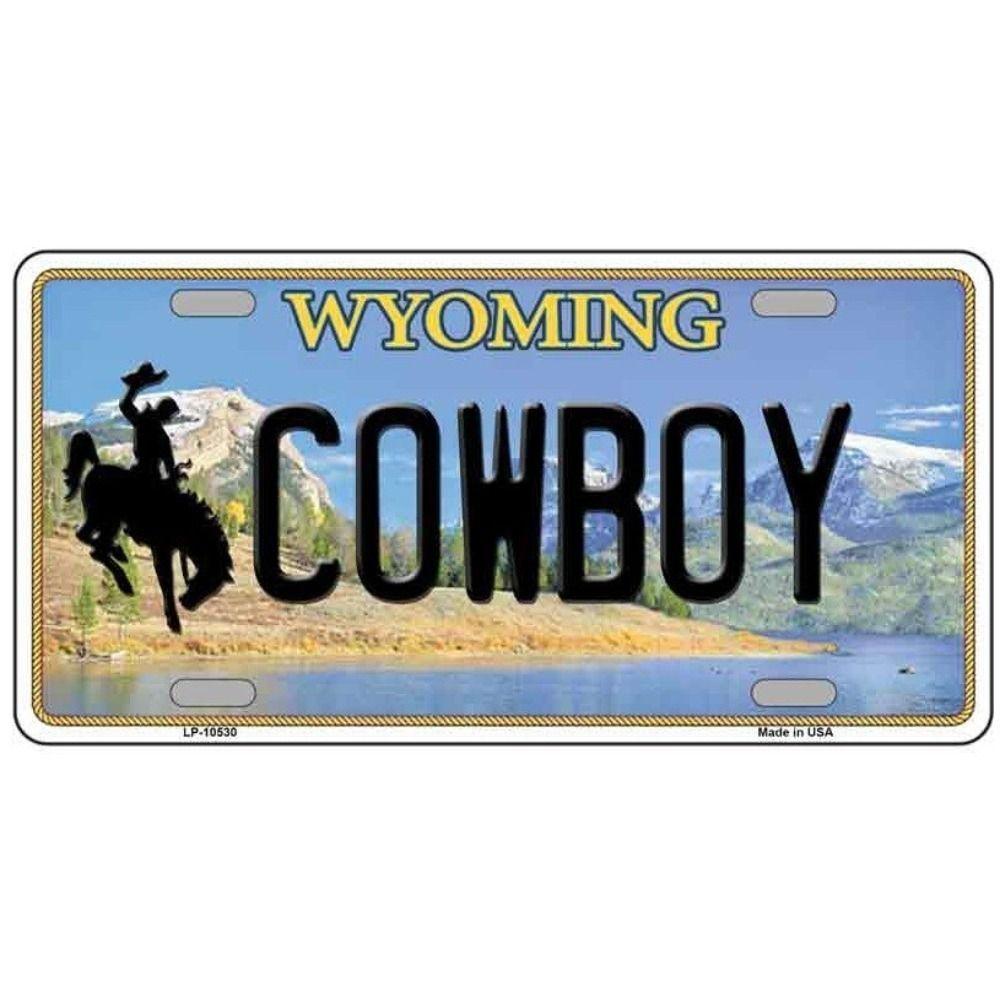 Vintage Metal Tin Sign Manitoba 33 38-038 15x30 cm Retro Canadian Decor Wall Art
