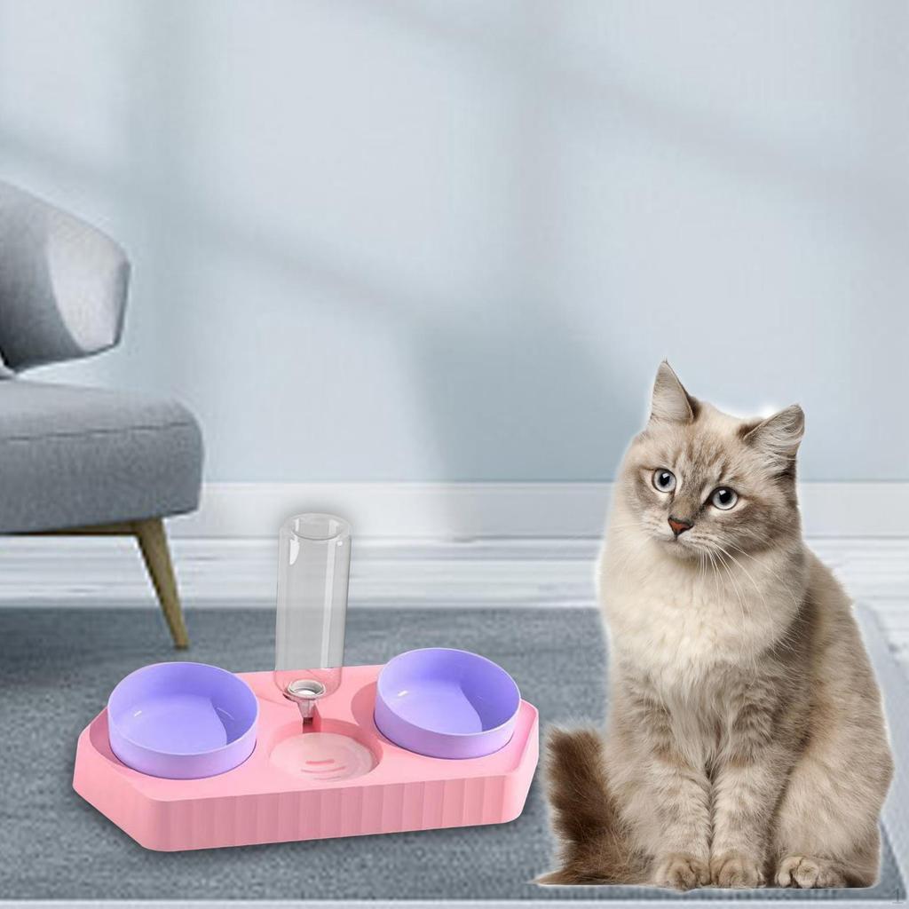 Dog Bowls Drink Fountain Cat Food Dishes Pet Feeding Station Detachable Non Slip Automatic