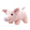 Cute Sales Plush Toy Pig Boo Boo Singer Medium F0320