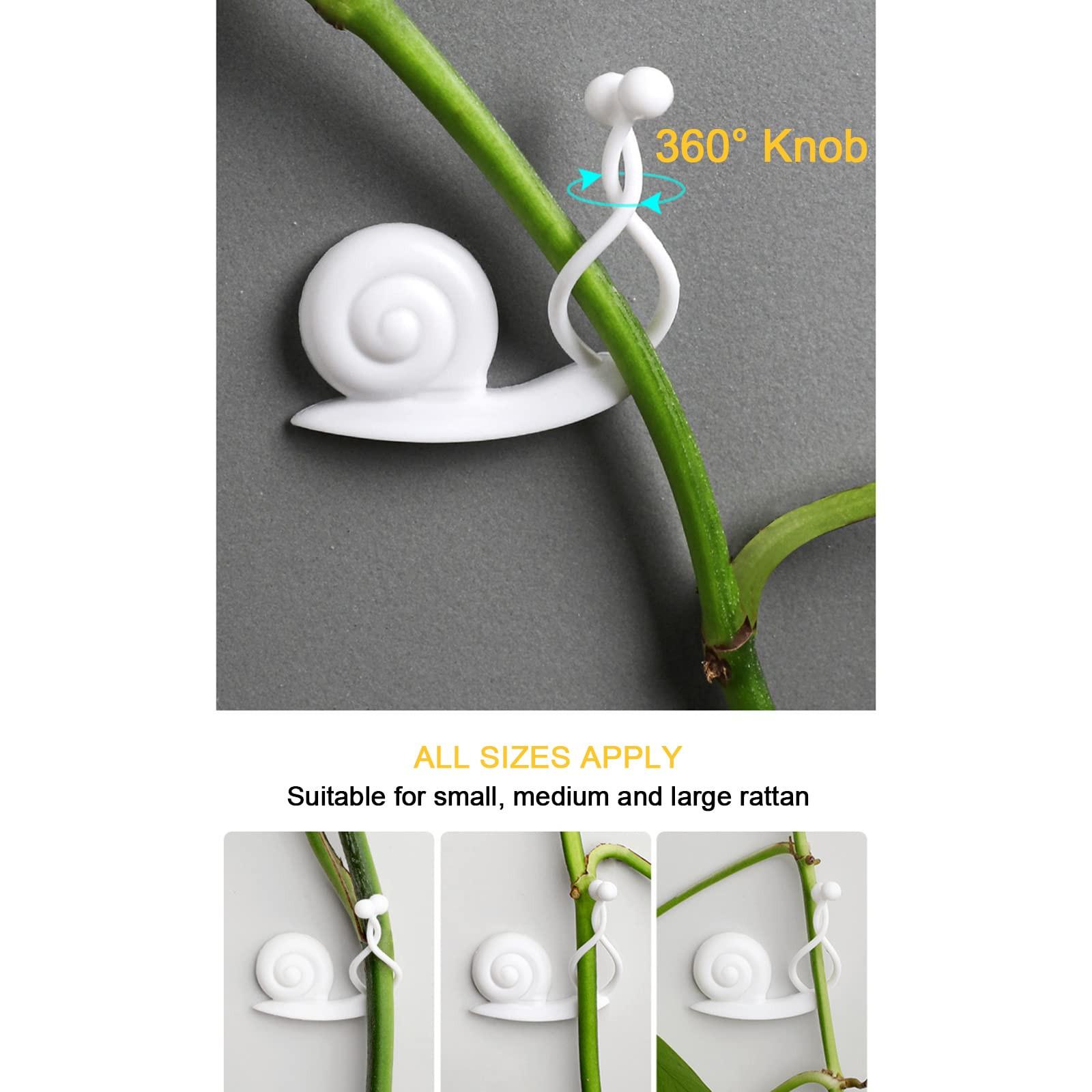 10 шт. улитки — фото 6