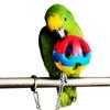 Toy Ball, Plastic Bell, Rattling Ball, Medium To Large Parrot Bite Toy Bird Supplies, Bird Toy Set