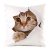 The cute cats from Northern Europe Digital printing short plush pillow covers for car sofa office cushion cover home goods