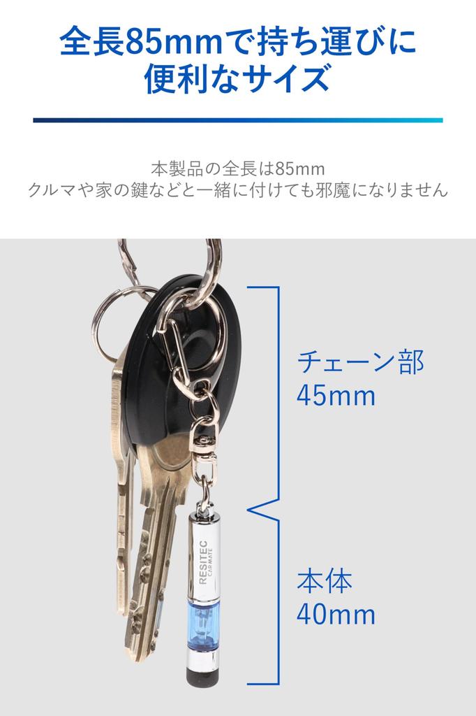 Car Key Case RegiTech Mini Static Electricity Removal Silver NZ974 [Carmate]