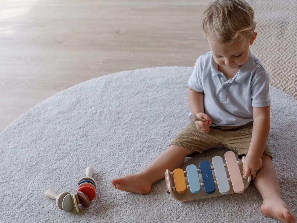 PlanToys Japan Oval Xylophone Neo 6441