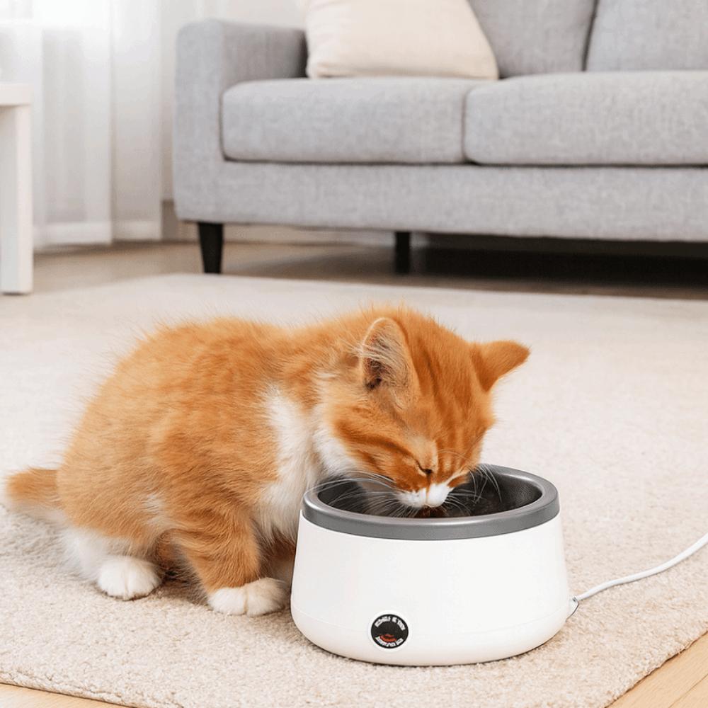 Elektryczna Miska Grzewcza dla Psa Ze Stali Nierdzewnej Fontanna do Wody dla Kota Podgrzewana Miska na Wodę dla Psów Kotów