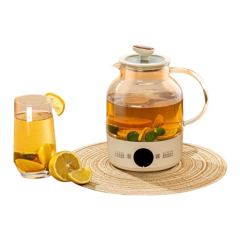 Triceratops Smart 1L Multi-Function Electric Kettle